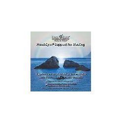 ヘミシンク・ヒーリング・サポート(Hemi-Sync® Support for Healing)