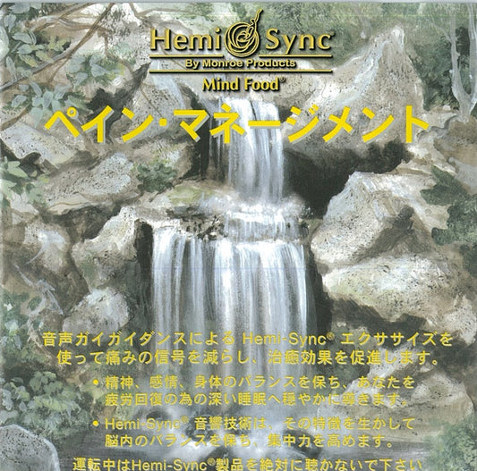 ペイン・マネージメント　日本語版